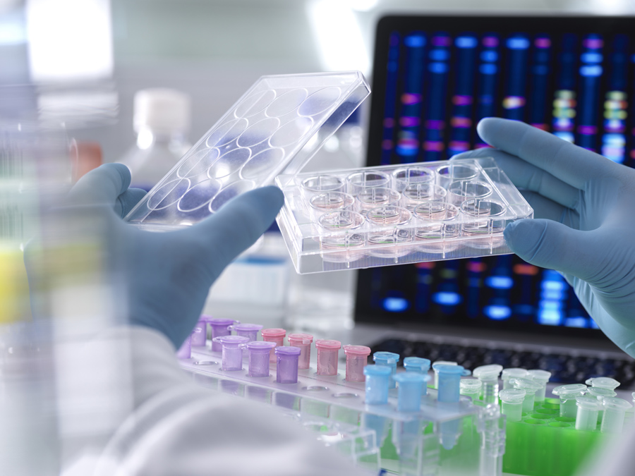 laboratory equipment